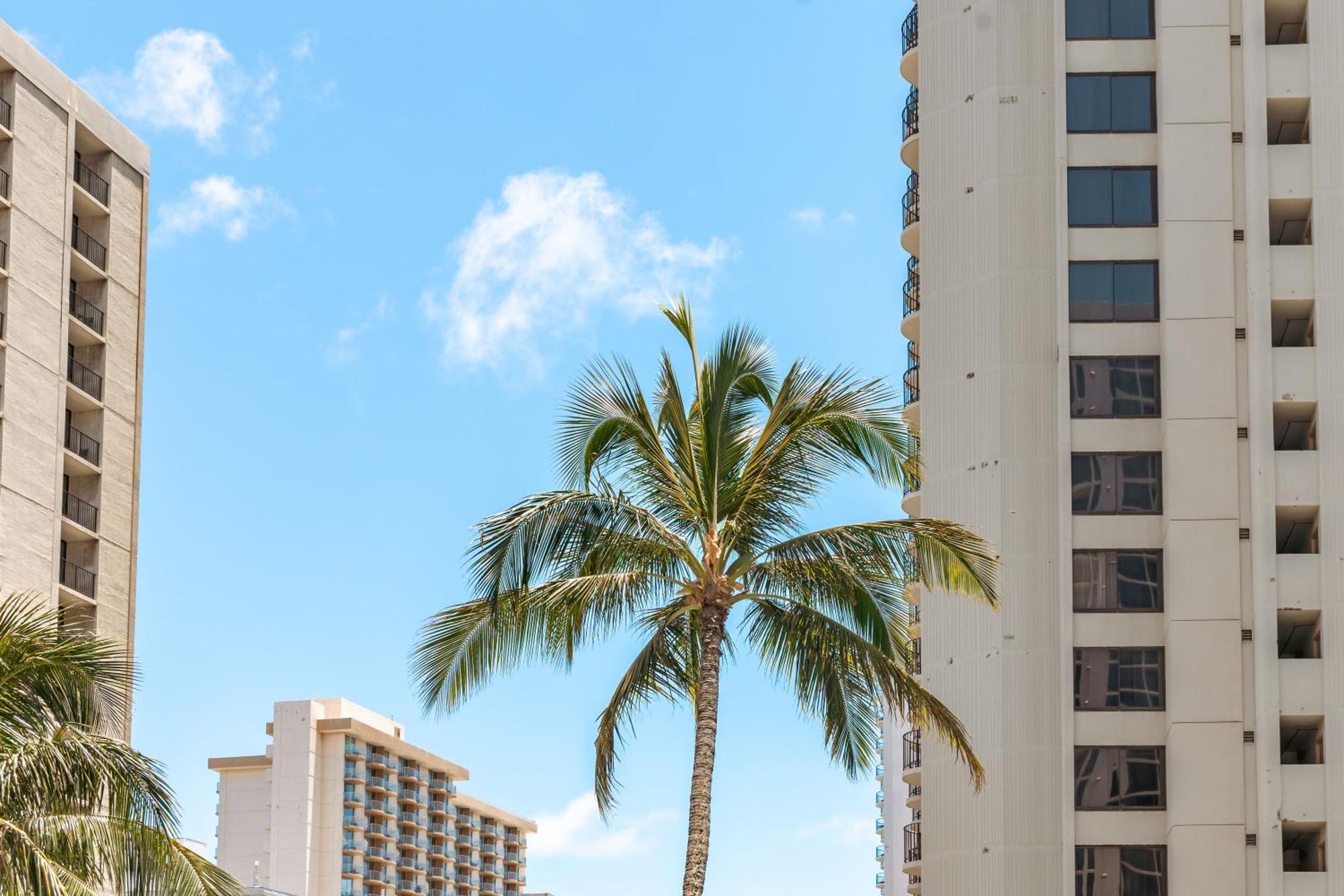 Diamond Head Views Retreat With Free Parking & Near Waikiki Beach! ホノルル エクステリア 写真
